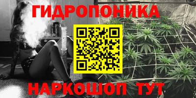 прущие грибы Кумертау