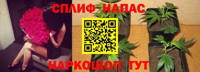 прущие грибы Кумертау