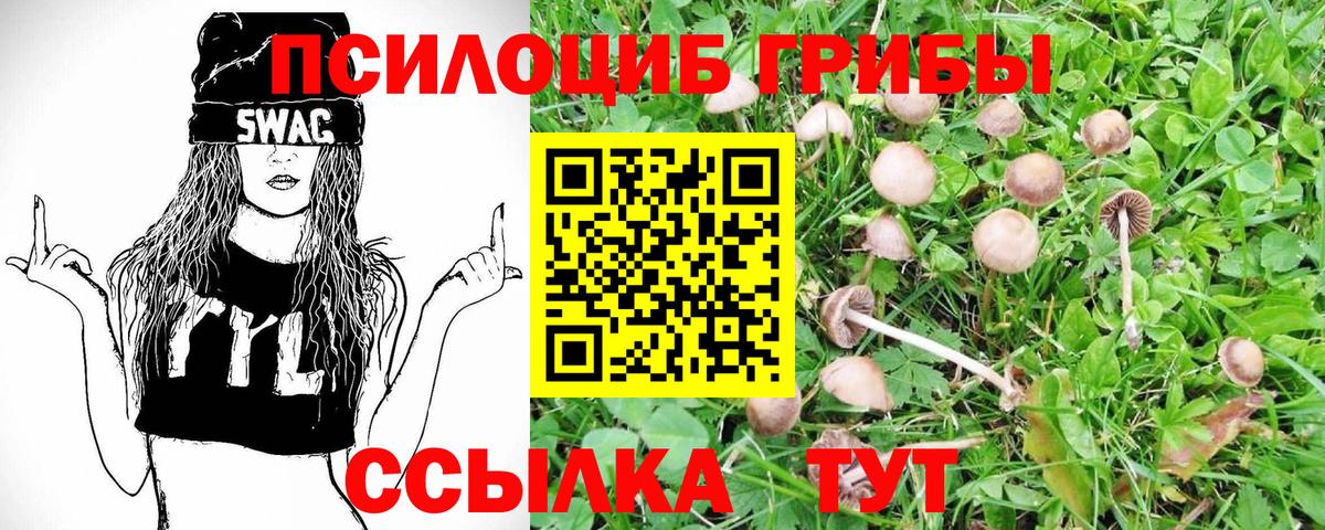 Псилоцибиновые грибы прущие грибы  Галлюциногенные грибы прущие грибы  Вход с VPN  Еманжелинск 