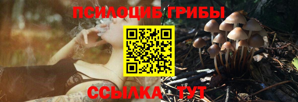 Псилоцибиновые грибы мицелий Еманжелинск